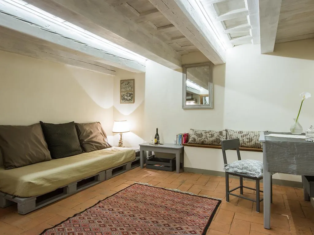 Charming&cozy apartment via Maggio Firenze 0*,  Italia